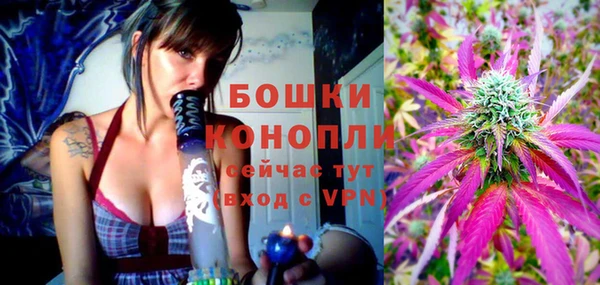 PSILOCYBIN Балабаново