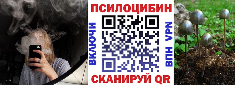 Псилоцибиновые грибы Psilocybine cubensis  Бахчисарай 